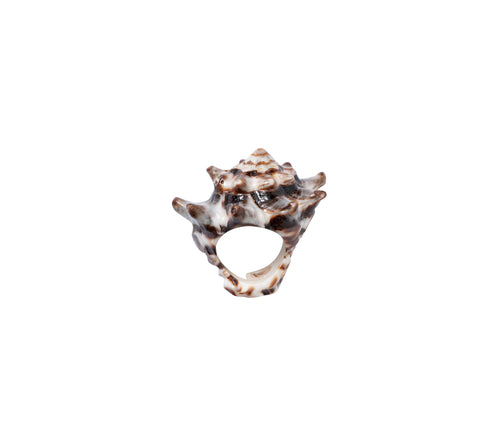 Birk Shell Ring
