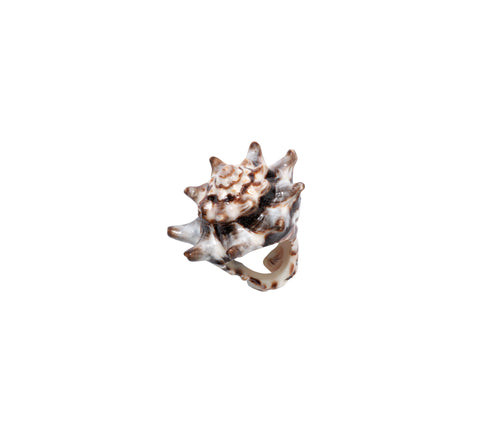 Birk Shell Ring