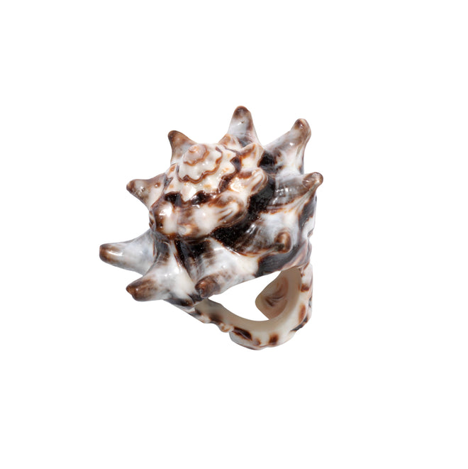 Birk Shell Ring